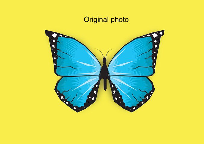 Christy Franck tweet media