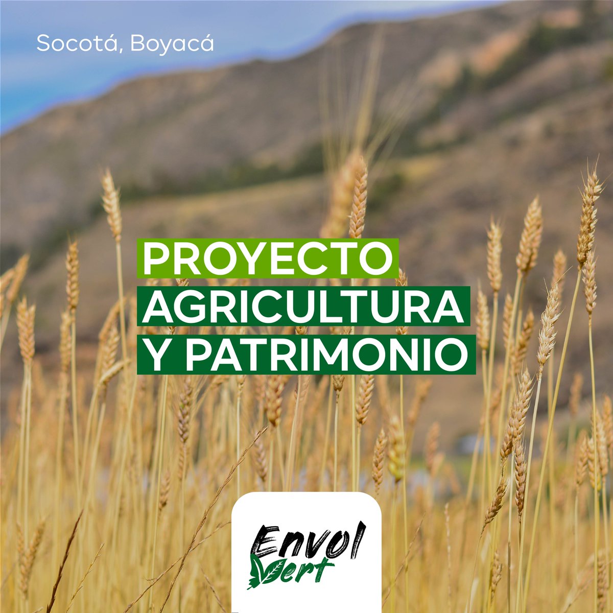 EnvolVertLatino's tweet image. Nuestro proyecto en Socotá, Boyacá, busca ofrecer alternativas económicas a la deforestación y a la minería para lograr una región más sostenible y biodiversa.

Conoce más en: envol-vert.org/es/pro/agricul…

#EnvolVert #RutaAgroforestal