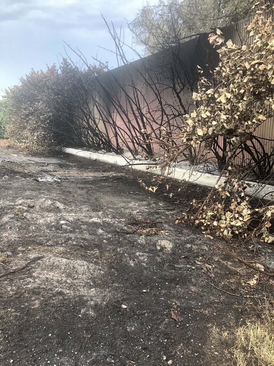 PsychKevinsNFT's tweet photo. Btw I am here for this project! I perform environmental emergency response (24/7), environmental remediation and management.  If I do not reply immediately I am most likely just trying to help Mother Earth 🌍 I will reply as soon as able! More info on our first giveaway soon! 😊 https://t.co/nhHXt32wka
