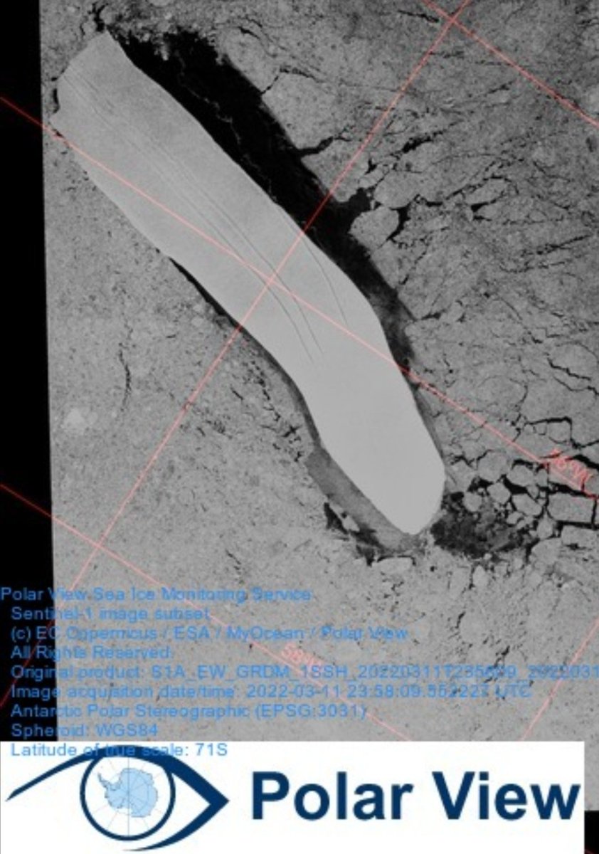 GreedSpam's tweet image. Growlers® Bergy-Bits™ cereal would  compliment Frosties &amp;amp; Ricicles on the breakfast TABLE. Best with a SLUSHY &amp;amp; GREASE CAKE. 
Pop quiz:
Does #seaice RIND taste Salty? 
Going with Antarctic #iceberg FLOE of #polarweek2022, 
is this Sausage or Bacon rasher (BRASH) ice? name?