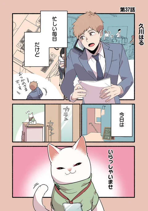 ねこのマッサージ屋さん🐈最終話更新です‼️

ねこのマッサージ屋さん 第37話 | 久川はる https://t.co/JzWFTgWARo #pixivコミック 