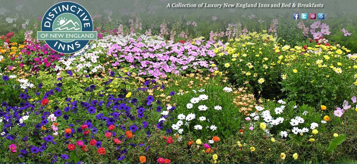 DistinctiveInns's tweet image. Catch all the news about your next spring fling along with great breakfast recipes in DINE's spring newsletter at conta.cc/3L1bDl1