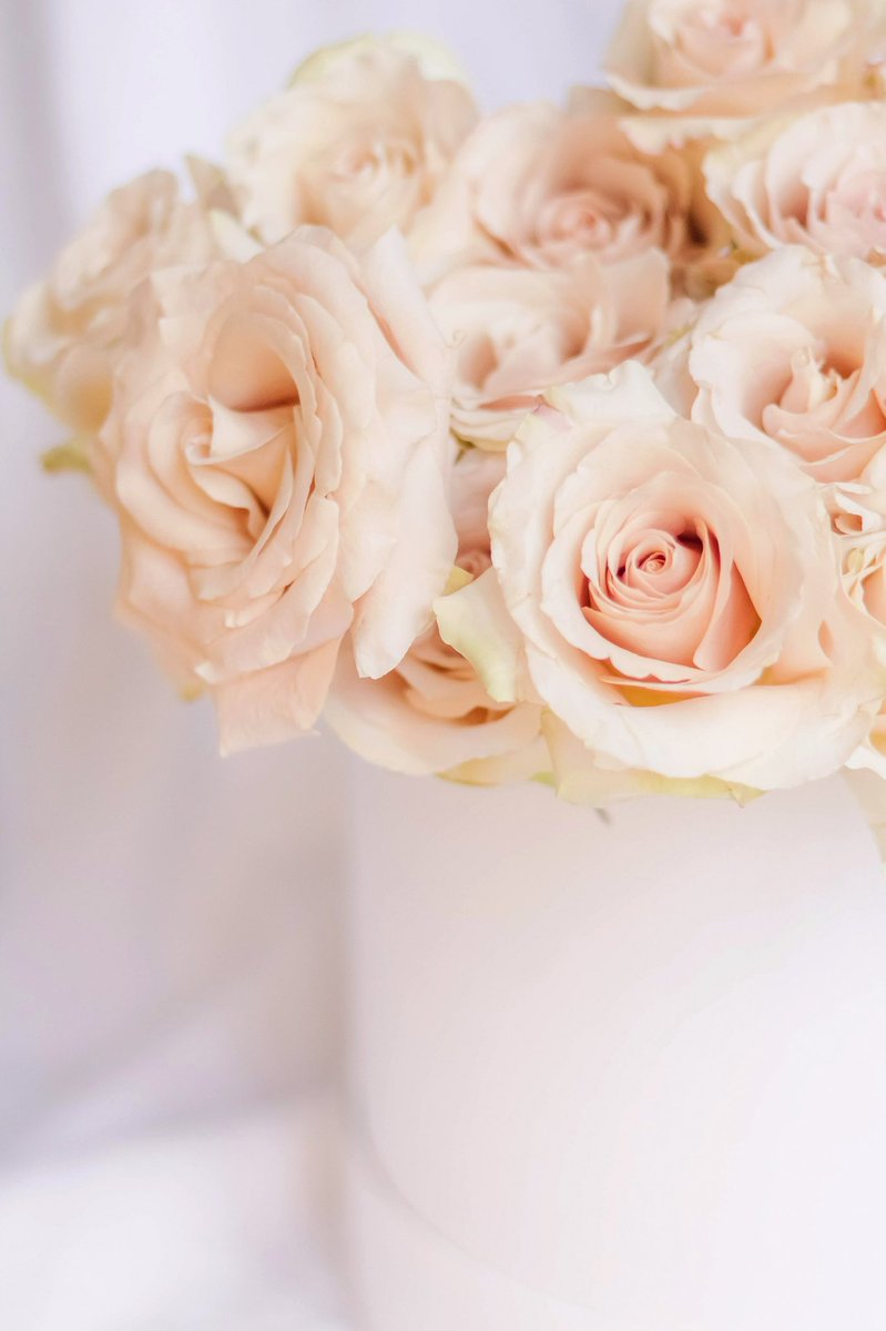 leaf_magnolia's tweet photo. Luxury rose hatboxes #mothersday #luxuryroses #floralgift #roses #floralhatbox #mlfloral #hertfordshireflorist https://t.co/v9HwLcC9nb