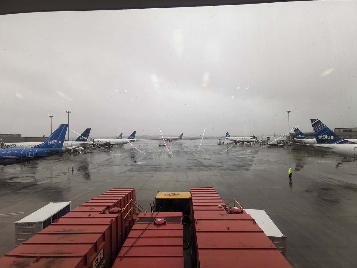 QiMIT's tweet image. 