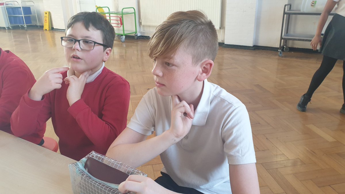 Timbercroftps's tweet image. Year 6 have been investigating a variety of hypotheses about our heart rates. We have planned the entire experiment using The Differentiator @WallaceIsabella #TalkLessTeaching