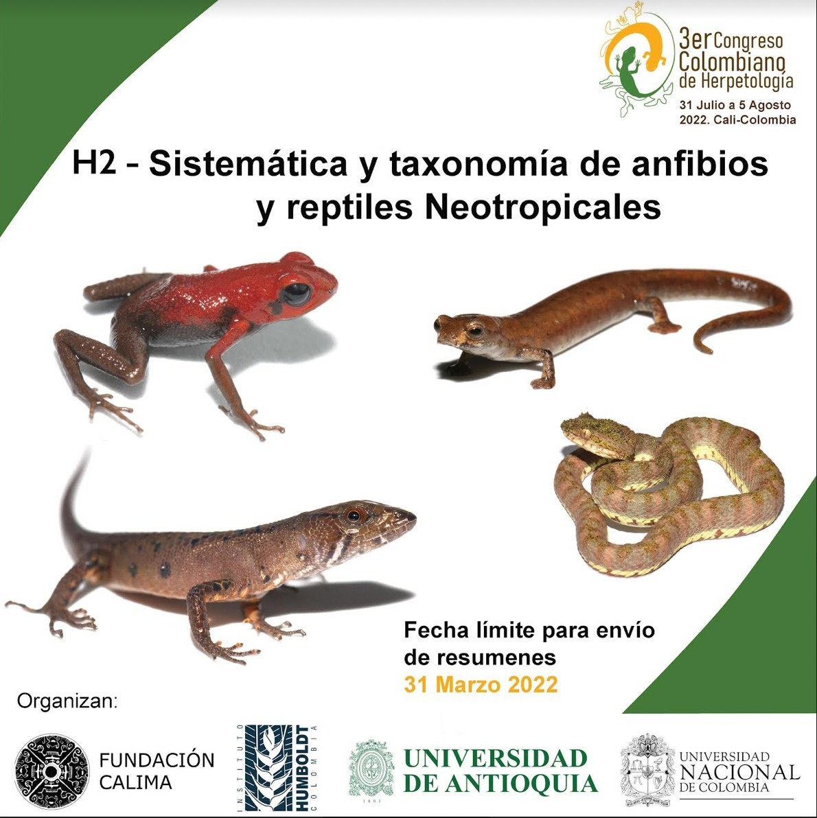 ACHerpetos's tweet photo. El objetivo de este simposio reunir y consolidar las investigaciones desarrolladas en sistemática y taxonomía de anfibios y reptiles,  y busca generar discusiones frente a las temáticas actuales relacionadas con la taxonomía y sistemática.
Envía tu resumen https://t.co/ZMsd29Ziep https://t.co/kJg4BruXLj