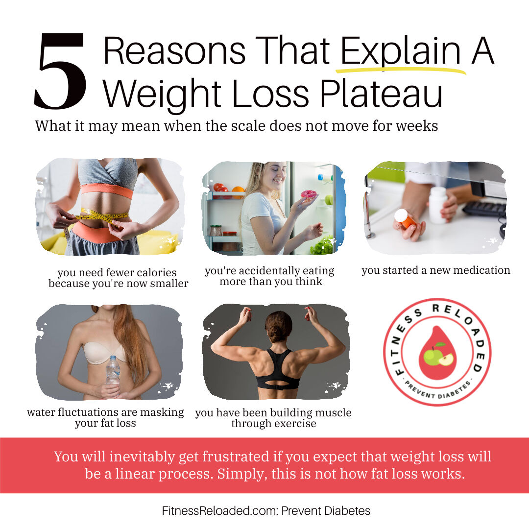 Fitness Reloaded: The Habits-coaching Academy tweet media