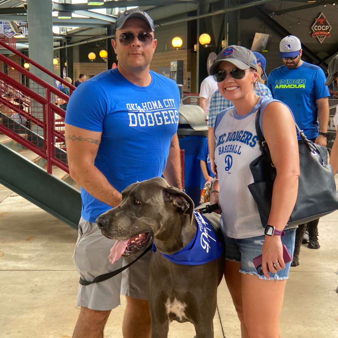 Oklahoma City Dodgers on Twitter "Bark in the Park presented by