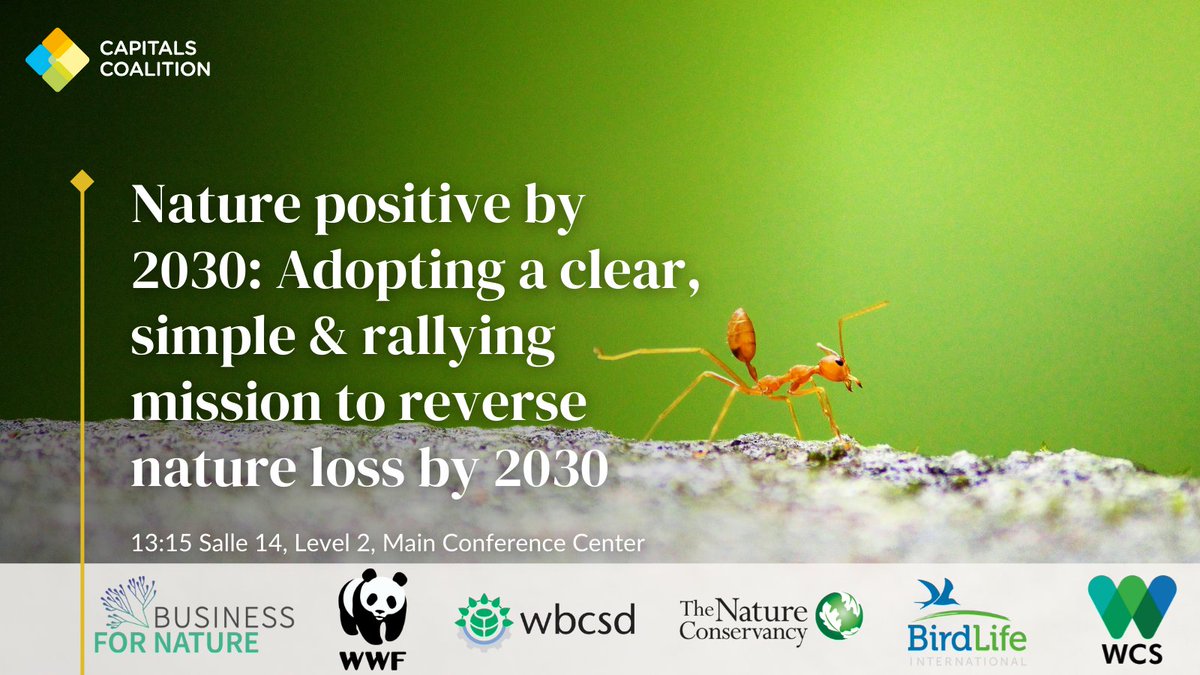 A diverse group comprised of NGOs, scientists & business, including @CapsCoalition, have developed a Global Goal for Nature. This session will explain what #NaturePositive means, what metrics we need to track progress, & how it is being put into action. https://t.co/nwAtIHqEEV