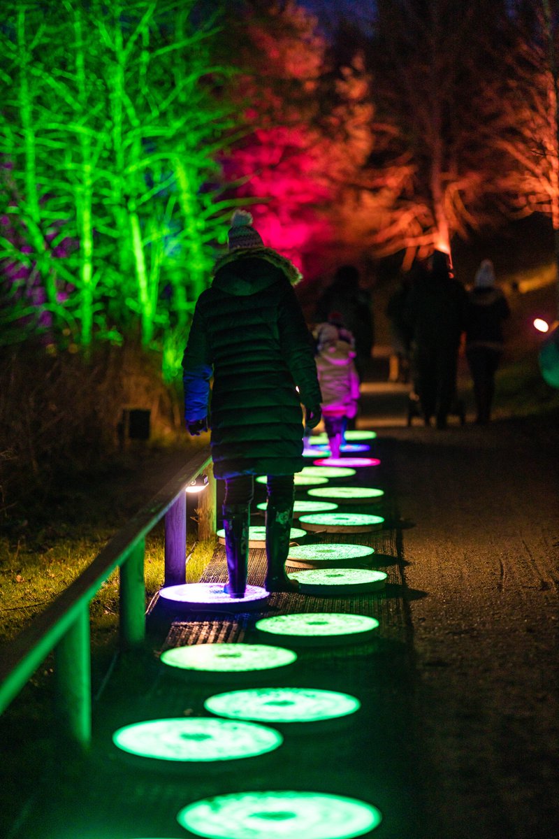 BluestoneWales's tweet photo. Tonight marks the end of our Winter Lights Festival, and what a spectacular season it has been!😍✨

Did you visit during our Winter Lights? We hope you loved it as much as we did 💙
#MyBluestoneBreak https://t.co/nLiBsuNWR5