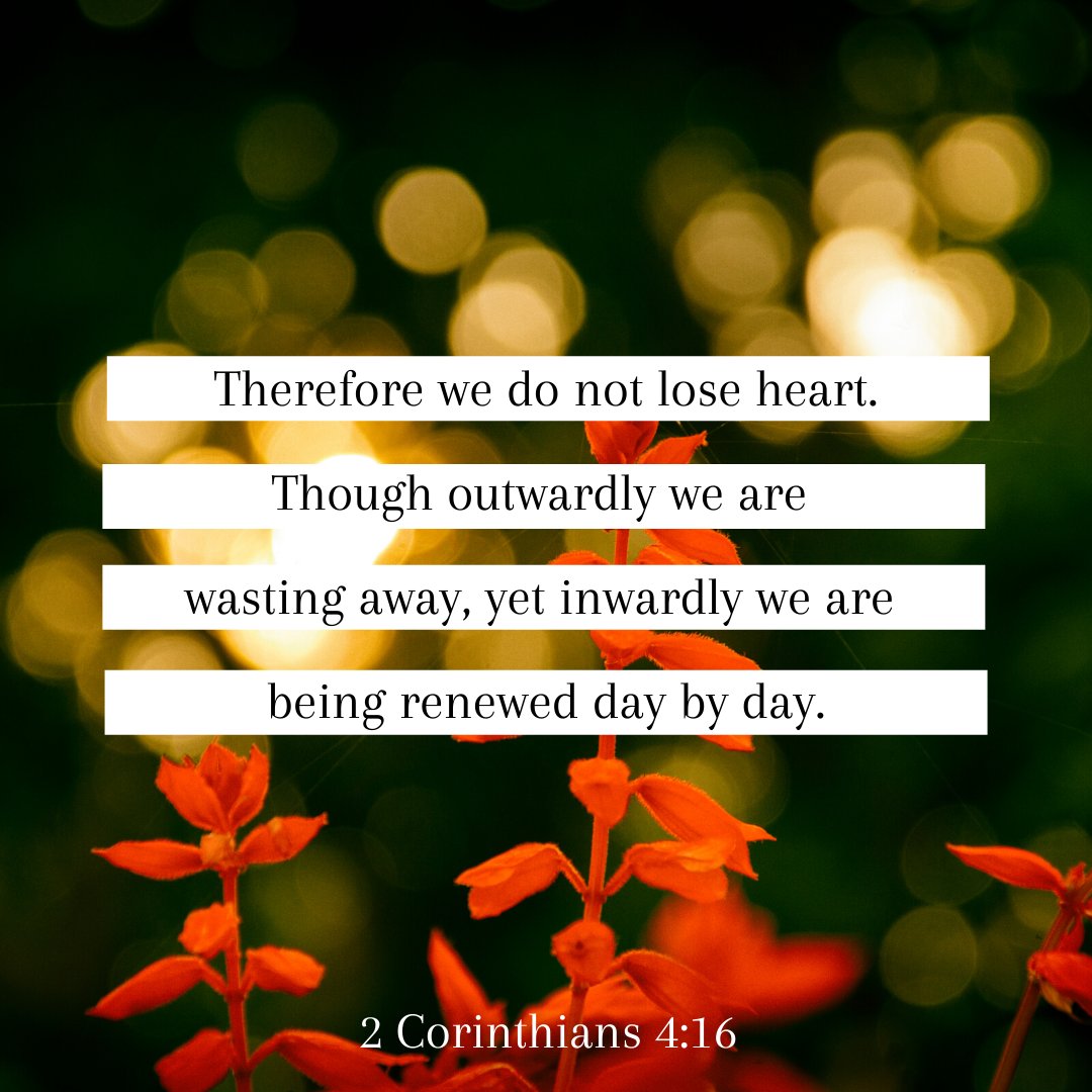 Therefore we do not lose heart. Though outwardly we are wasting away, yet inwardly we are being renewed day by day. 2 Corinthians 4:16

During unimaginably hard days, let your spiritual eyes come alive.