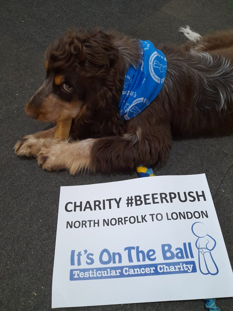 Bob's ready  for #beerpush and looking the part.