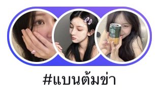 🐰 tweet media