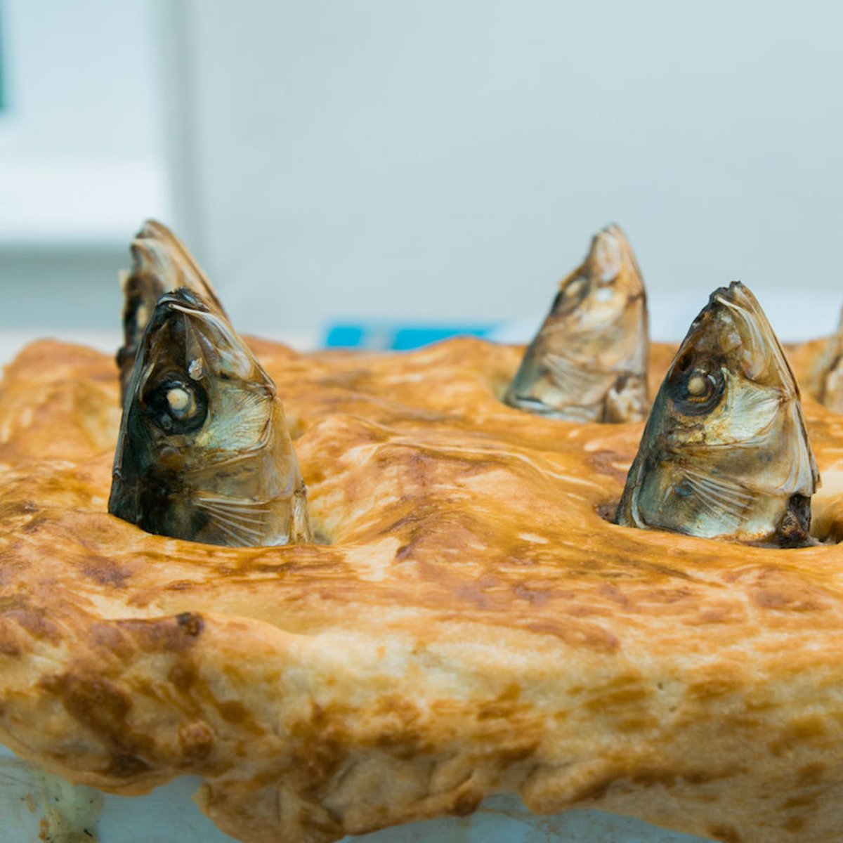 Cornwall 365 tweet media