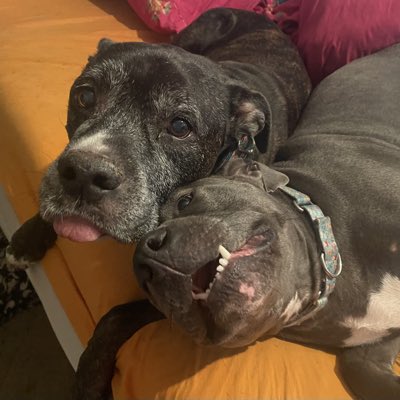 jmchieffo's tweet photo. #NewProfilePic https://t.co/Bzf2BOcU8i