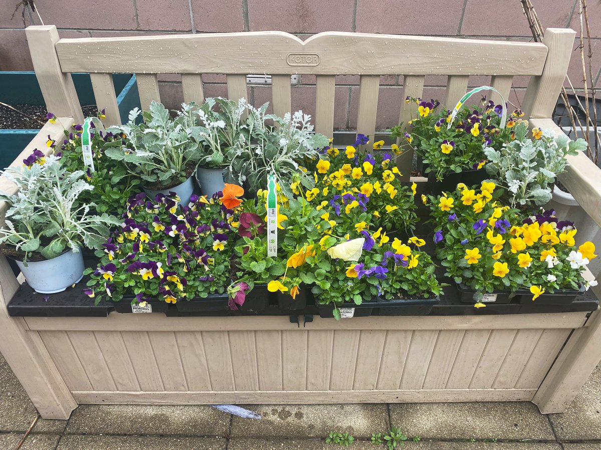 _Ms_Mason's tweet photo. #Planting 🌱 and #gardening 🪴are great activities for your #Mentalhealth. Thanks @blairprincipal @LNCarrillo3 for today! 💚 https://t.co/PZs5KcZV2p