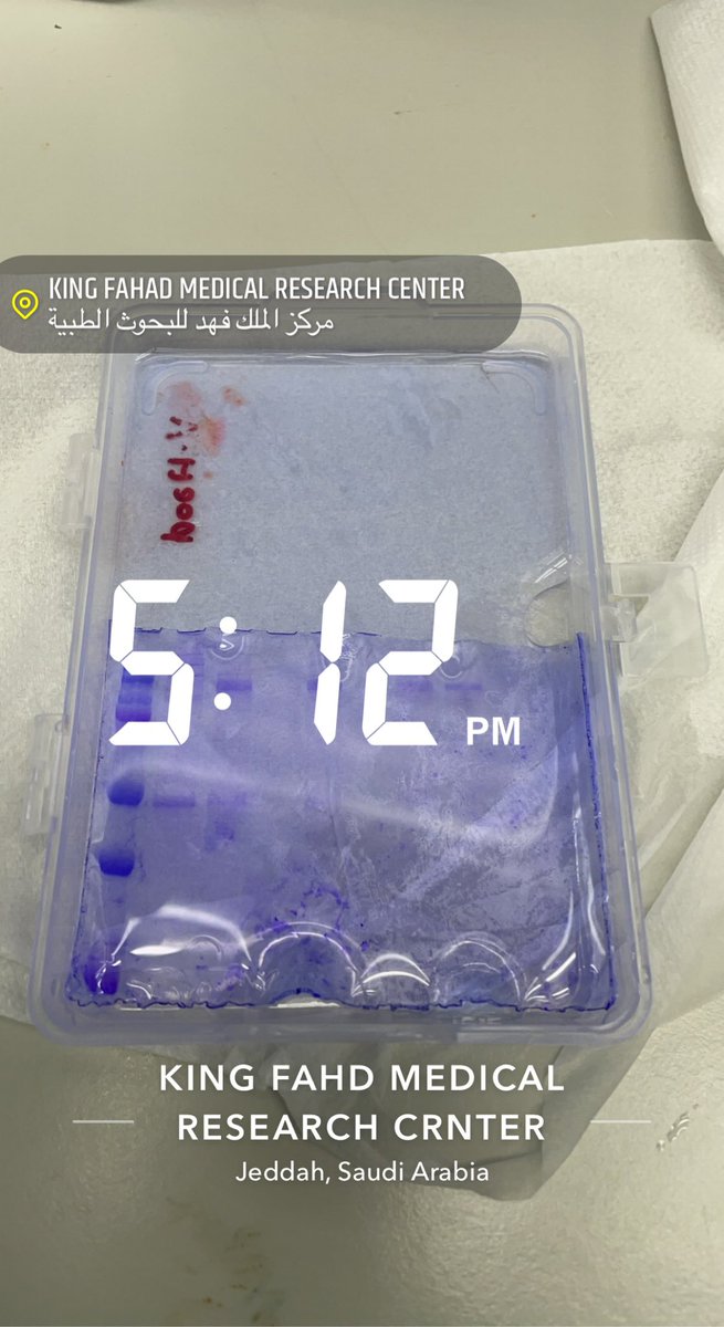 Anwar Hashem tweet media