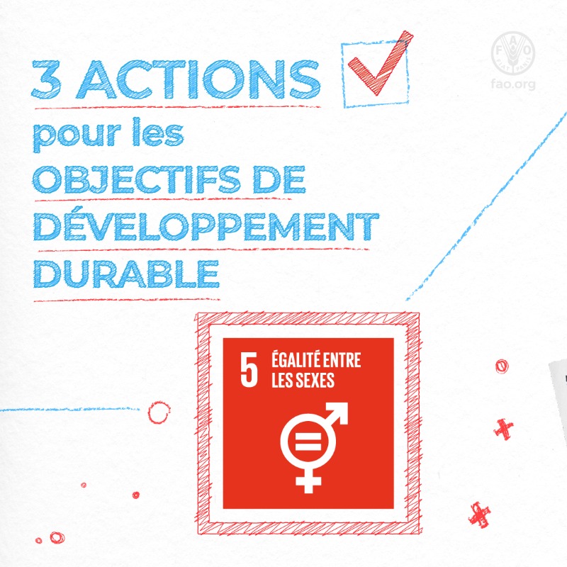 FAOenFrancais's tweet photo. Nous ne pouvons relever aucun des défis auxquels nous sommes confrontés aujourd'hui sans des femmes &amp; des filles autonomes.

Voici 3 actions que vous pouvez entreprendre pour faire partie de la #GénérationÉgalité 👇

#ODD5 #CSW66 https://t.co/TuLO12AMoz