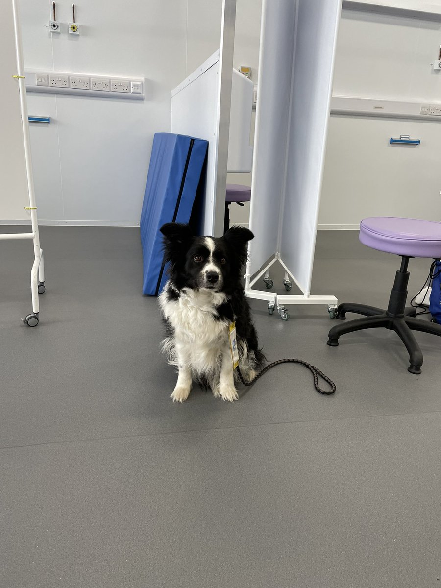 Sue Jones 💙 tweet media