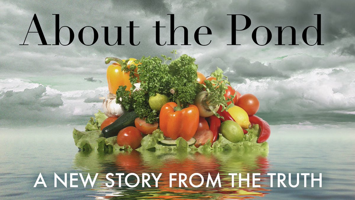NEW STORY: About the Pond

Emmy’s a chef; her twin brother Ross is an aspiring vegetable influencer. All they want is total culinary dominance– but a swiftly growing pond is ruining phase 1 of their five-year plan.

Written by <a href="/MJHalberstadt/">MJ writes stuff</a>.

thetruthpodcast.com