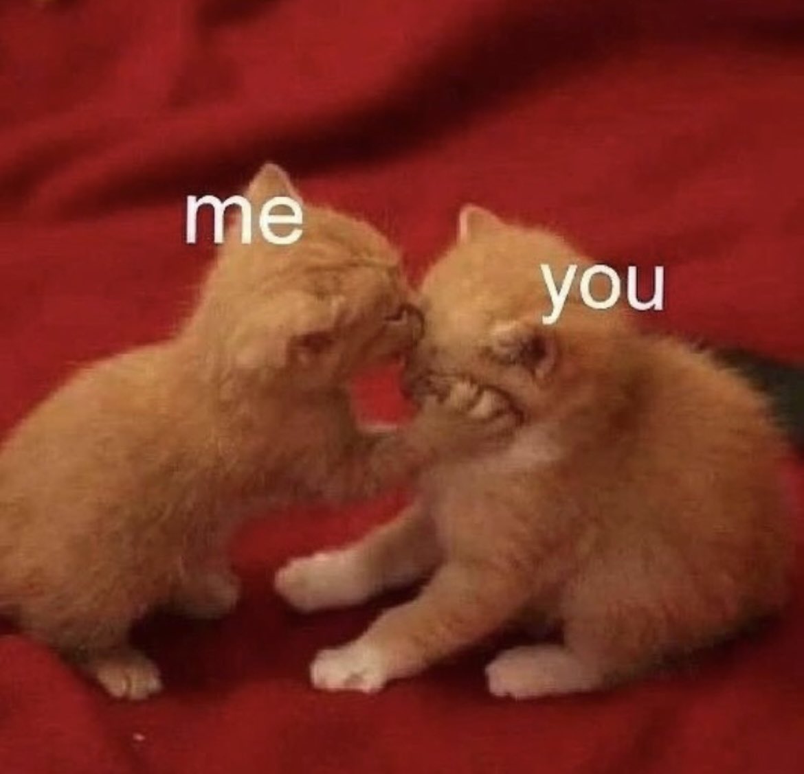 Ладья tweet media