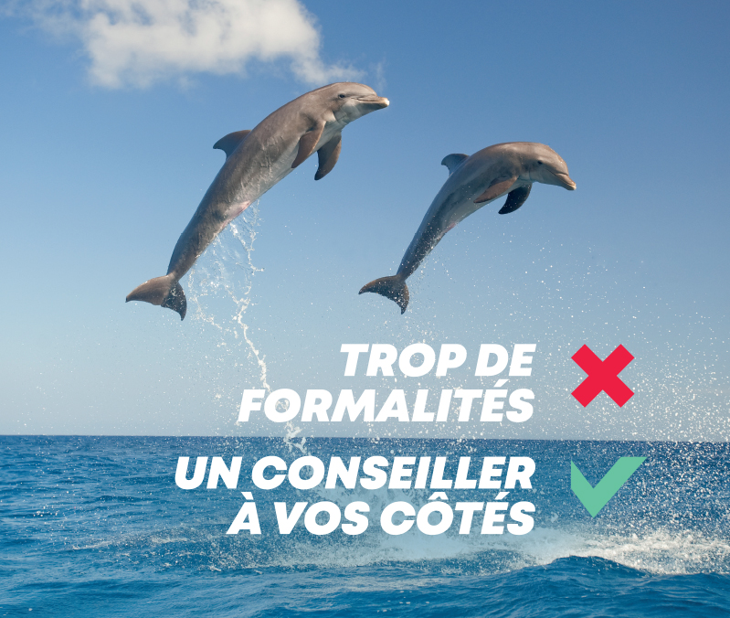 Suivez le guide pour recruter en #alternance !
Les #Opco dont <a href="/AKTO_OPCO/">AKTO</a>, la #DGEFP et l'ASP  ont élaboré un #guide pratique sur les #aides aux contrats en #alternance !
👉bit.ly/3NiBiI4
#entreprise #alternance #apprentissage #emploi #recrutement