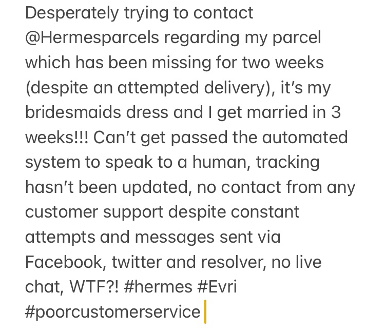 Rebecca Timms tweet media
