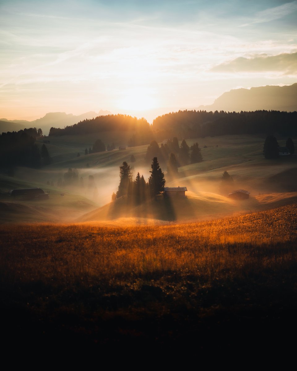 Michael Boegl tweet media