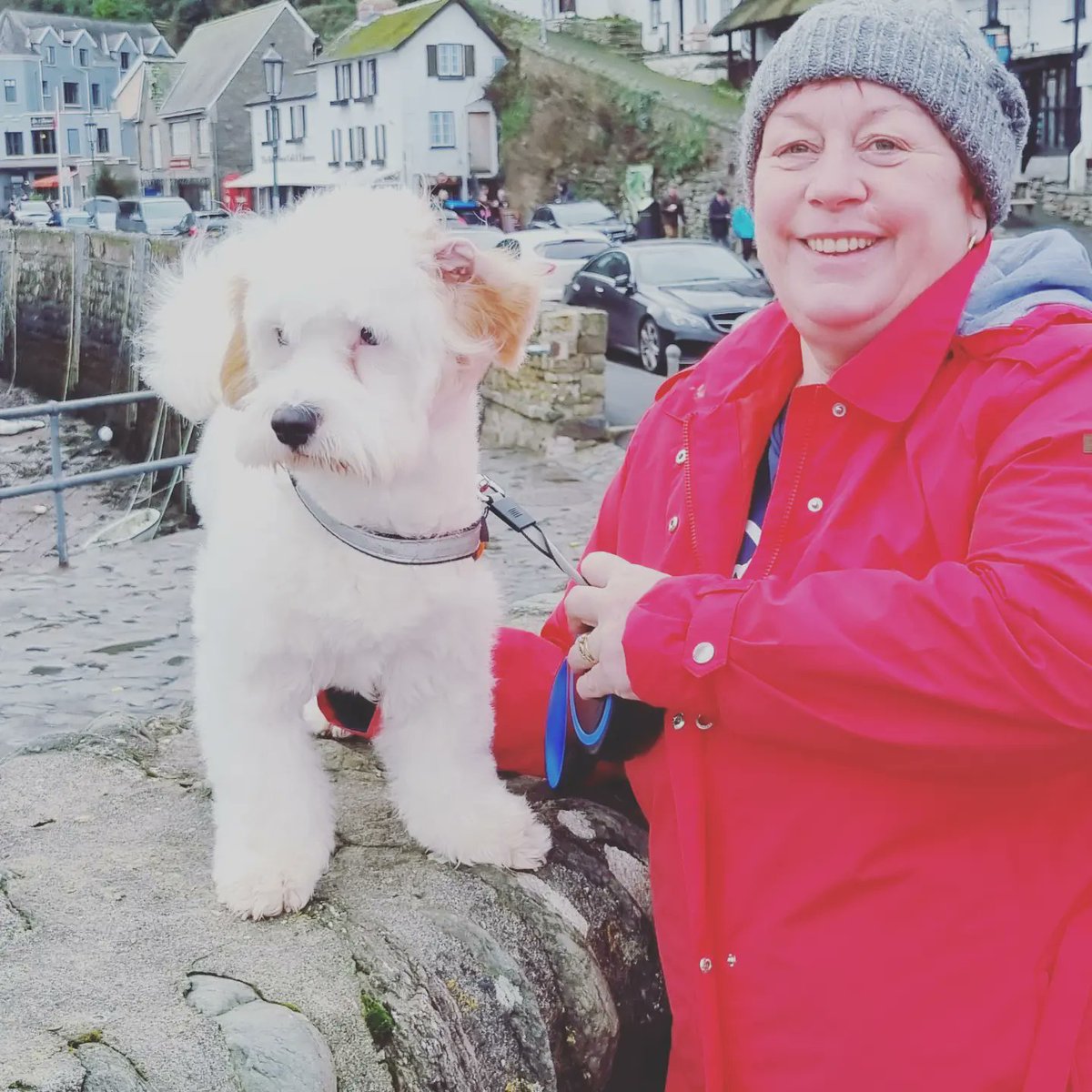 SallyGreen66's tweet photo. Happy 1st birthday to our gorgeous boy Alfie #itsadogslife https://t.co/8NGkZe17GX