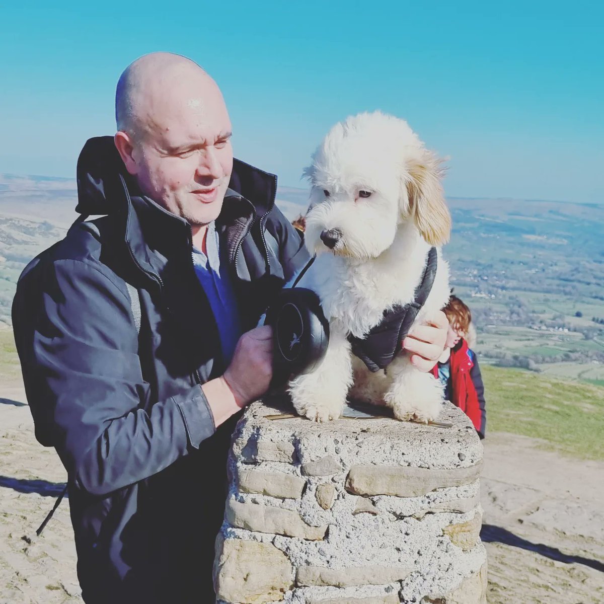 SallyGreen66's tweet photo. Happy 1st birthday to our gorgeous boy Alfie #itsadogslife https://t.co/8NGkZe17GX