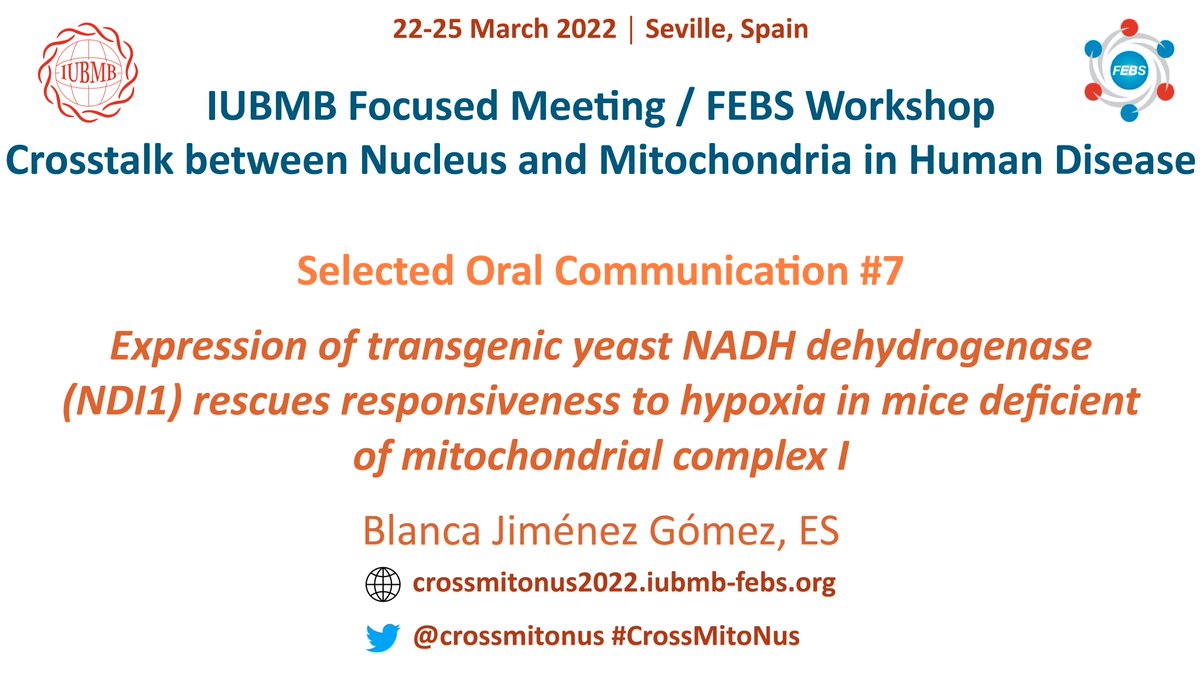 crossmitonus's tweet photo. Selected Oral Communication #7:

👩Blanca Jiménez Gómez

Instituto de Biomedicina de Sevilla (IBIS),
Sevilla, Spain

🗓️THURSDAY March 24
🕡12:25 h

#CrossMitoNus https://t.co/zqaI9M2BPY