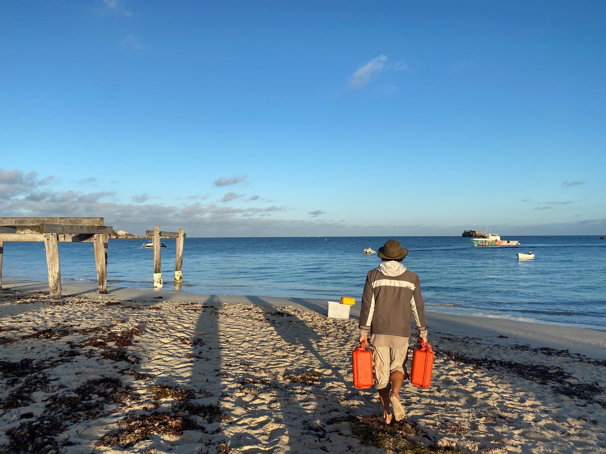 Blue Abacus tweet media