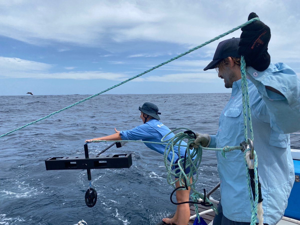 Blue Abacus tweet media