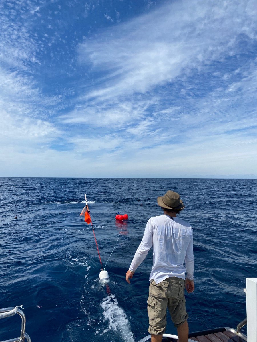 Blue Abacus tweet media