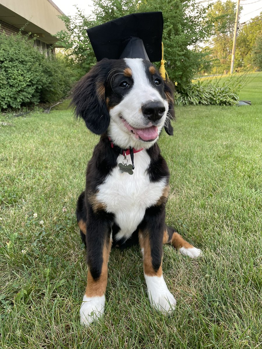 news3leah's tweet photo. My doggo turned one this week! Happy belated #NationalPuppyDay from my little dudette 💚 #Bascom https://t.co/8FkCQqVK1H