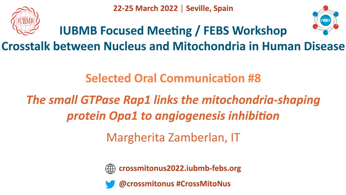 crossmitonus's tweet photo. Selected Oral Communication #8:

👩Margherita Zamberlan

Venetian Institute of Molecular Medicine,
Padova, Italy

🗓️THURSDAY March 24
🕡12:40 h

#CrossMitoNus https://t.co/Nz8IKXVHWR