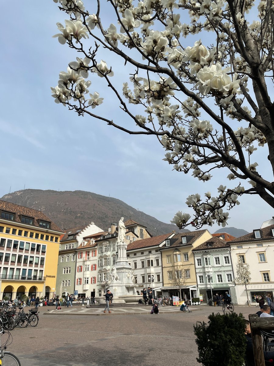 visitsouthtyrol's tweet photo. The rays of the #sun warming our faces, the majestic #peaks embracing us, the energy of nature awakening. With our #livepictures you can already expierience South Tyrolean spring at home. #Southtyrol https://t.co/bidxpLinnz