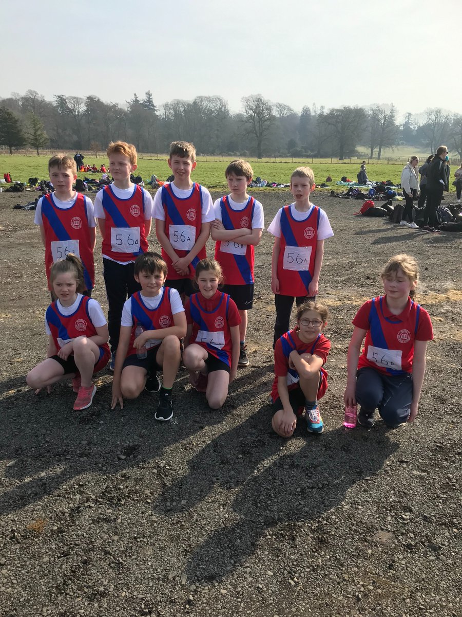 Muthill Primary School tweet media