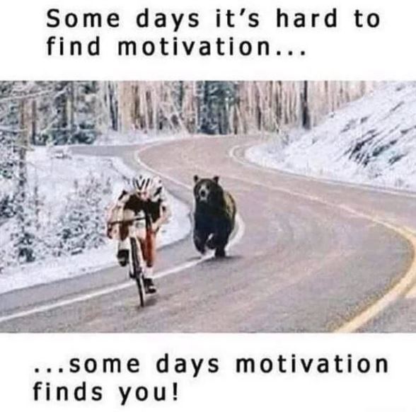 LOL! :D This is hilarious ! #motivation #funny #writing #WritingCommunity