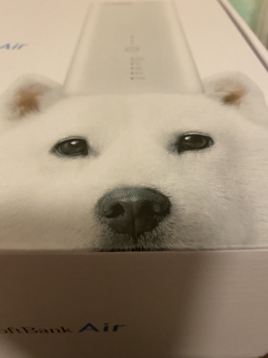 RAM563R's tweet photo. 新しいWiFi届いた🎁 https://t.co/J6I8sUxZPr