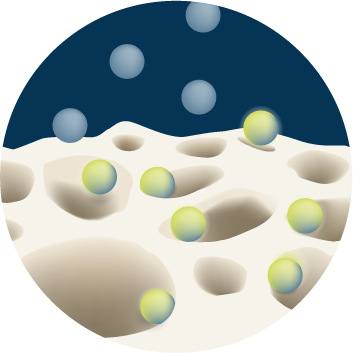#boneregeneration #tissueregeneration #mbcptechnology #step2 #bonehealinginitiation
The second step in bone regeneration is bone healing initiation: Macrophages nest in the micropores and release more growth factors initiating healing.
#knowledgesharing #followusformore