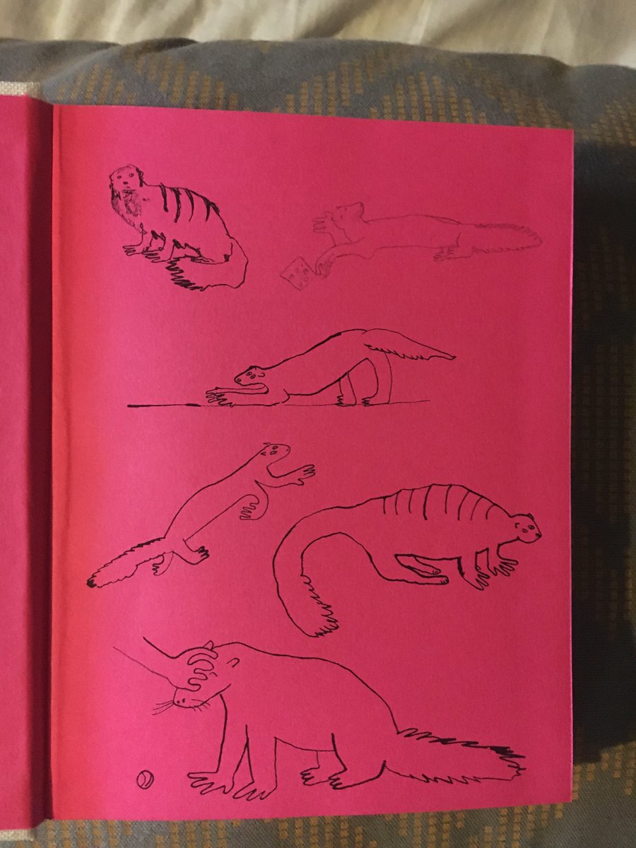 ChrisJosiffe's tweet image. Now available for pre-order at @GuillemotPress, Haunting of Cashen&apos;s Gap (Price &amp;amp; Lambert&apos;s 1936 #GeftheTalkingMongoose investigation, inc. original photos). Just £14, with splendid cloth binding &amp;amp; FANTASTIC mongoosey endpapers by illustrator @GuntonRia guillemotpress.co.uk/nonfiction/gef