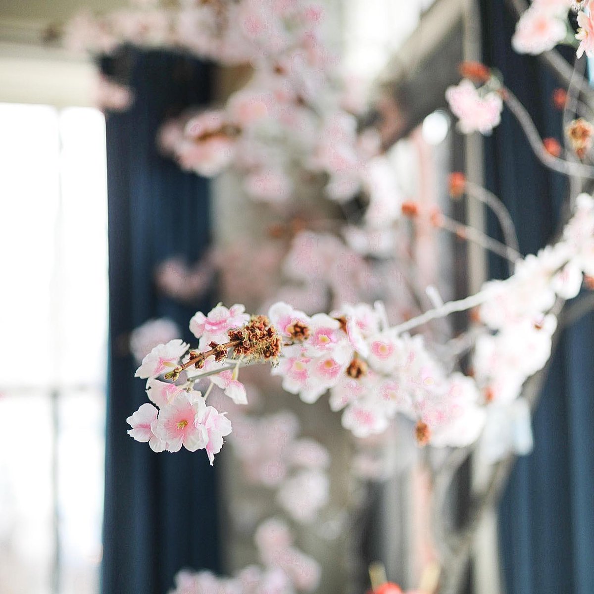 DCMinute's tweet photo. The Cherry Blossoms are up at the Shirt Factory.
#CherryBlossoms #MissingDC #MedinaNY https://t.co/JiRv3xz9WT