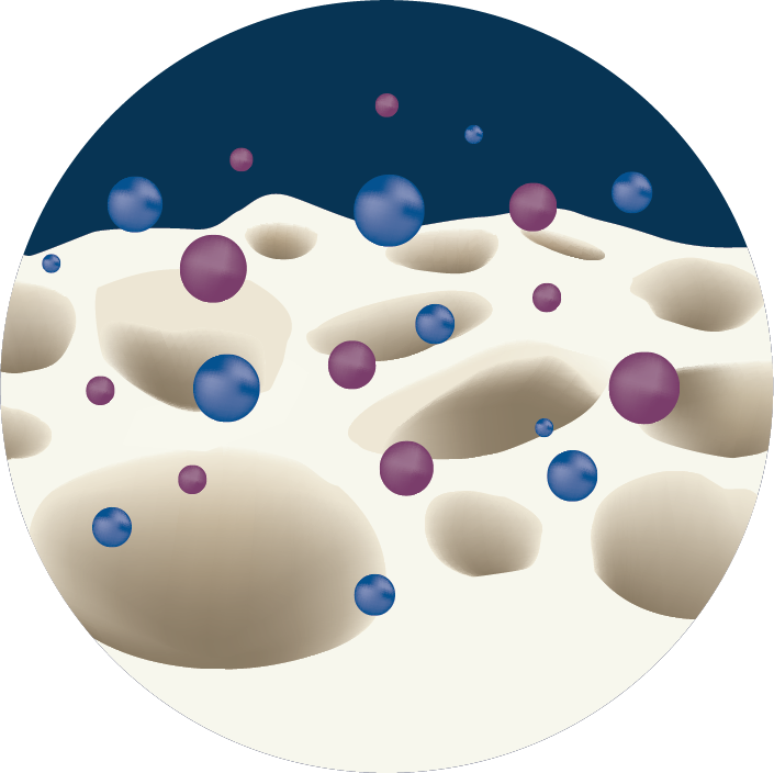 #boneregeneration #tissueregeneration #mbcptechnology #step3 #ionsrelease
The third step in bone regeneration is the release of ions. As healing begins, the graft dissolves and releases Ca2+ and PO43- ions.
#knowledgesharing #knowledgeexchange #keeplearning
#followusformore