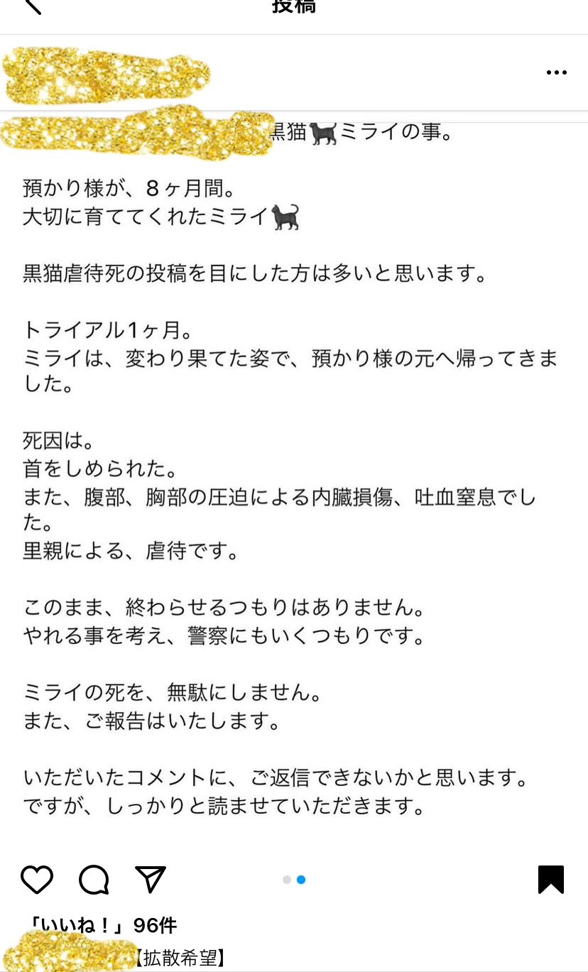 ねこちゃん@プロフ見てください ページ 似顔絵セミオーダーご紹介】④ M様 なのちゃん キリッと大きなお
