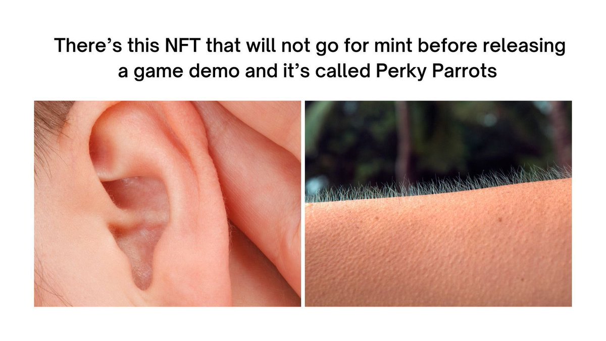 PerkyParrotsNFT's tweet photo. How NFT gaming should go🦜👇

1- Prove utility
2- Affordable Mint 

May 15🤝🦜 https://t.co/8f1QAmSngY