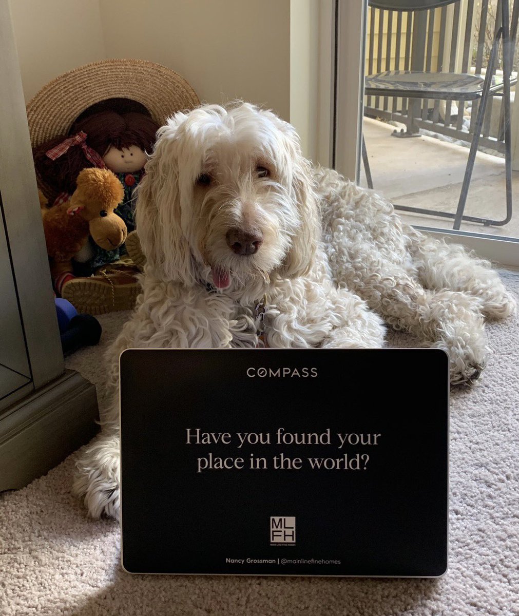 NancyJgrossman's tweet image. Have you found your place in the world? Reach out to me and let’s start the search! 
#TheCompassDifference 
#MainLineFineHomes
#AgentsofCompass 
#CompassEverywhere
#CompassGreaterPhilly
