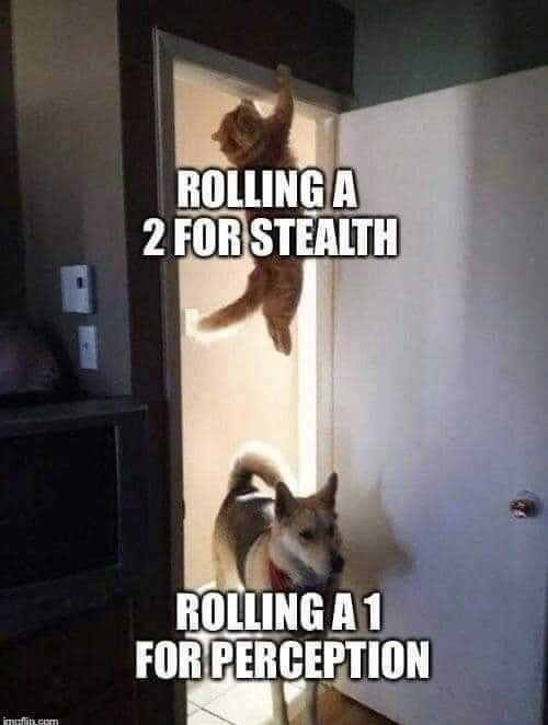 Jeremy_Rietman's tweet photo. A wins a win #DnD #naturalOne #CriticalRole https://t.co/rHkcKkWKj5