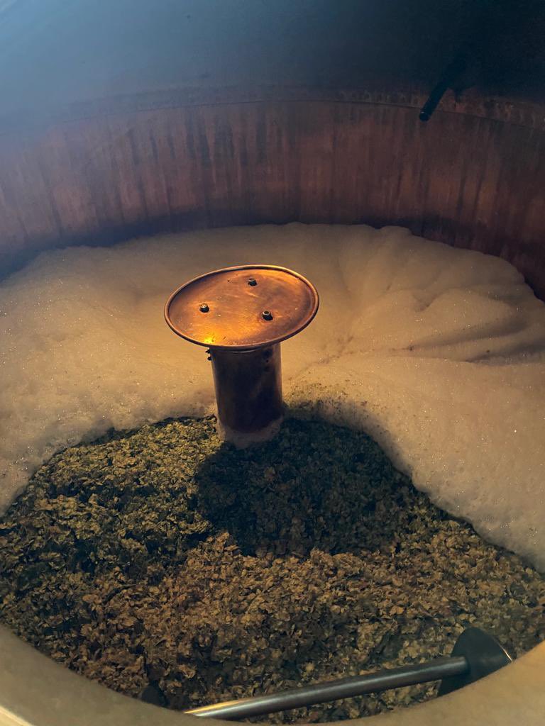 ArkellsBrewery's tweet photo. #BehindTheBeer with Alex: “All English grown hops in this brew; smells great!”
#BritishHops #Fuggle #TraditionalBrewer #Brewing #Beer #Brewery #FamilyBrewer https://t.co/DDO4jwnChV