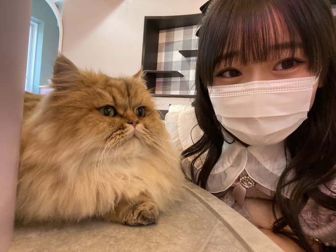 石橋颯のTwitter画像59
